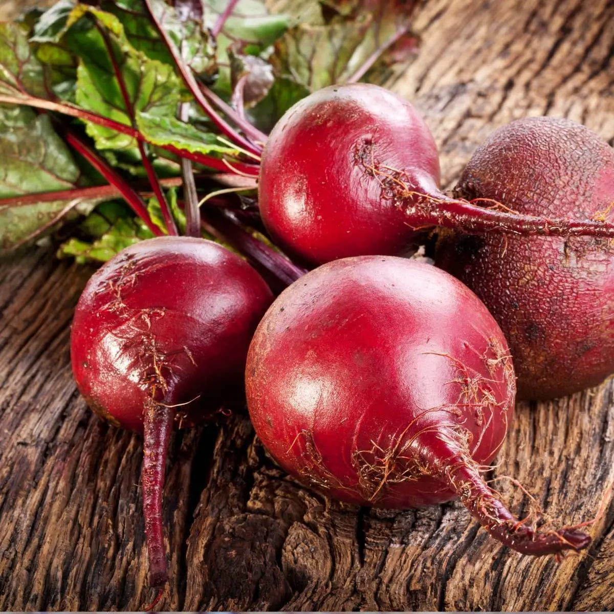 Beetroot Globe 2 Seeds - Organic