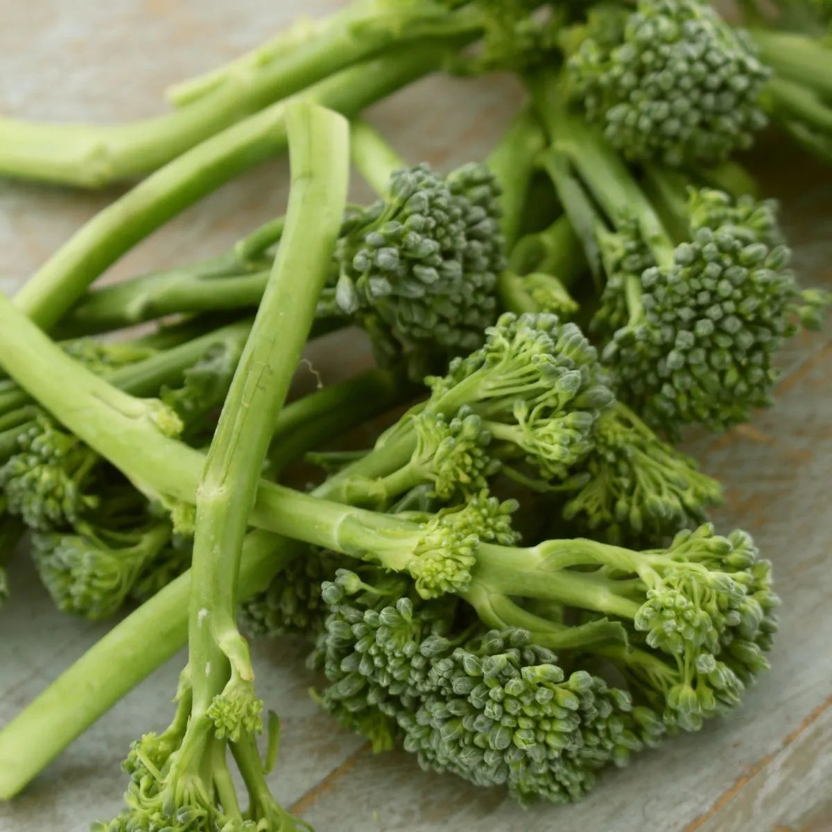 Broccoli Early Sprouting Seeds - Organic