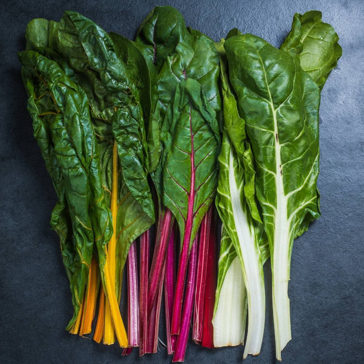 Swiss Chard - Organic