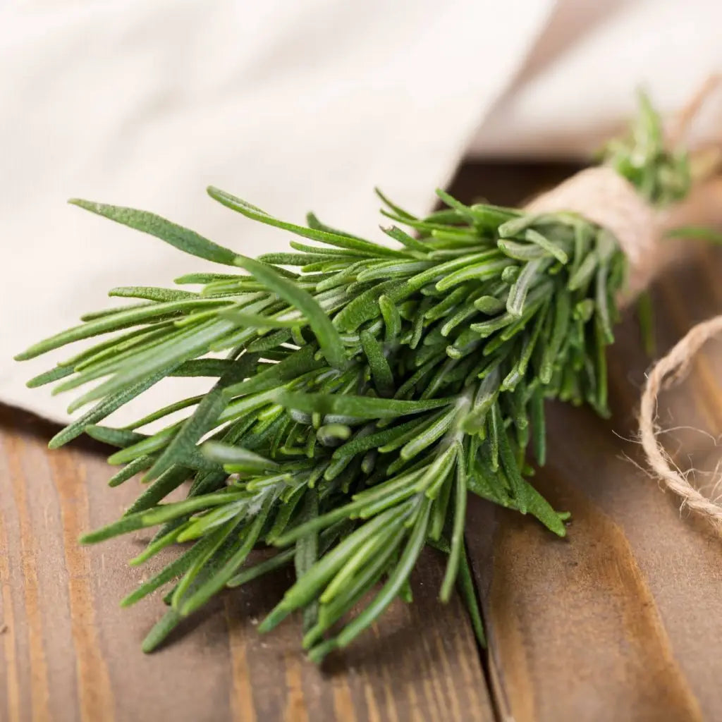 Rosemary Seeds - Organic