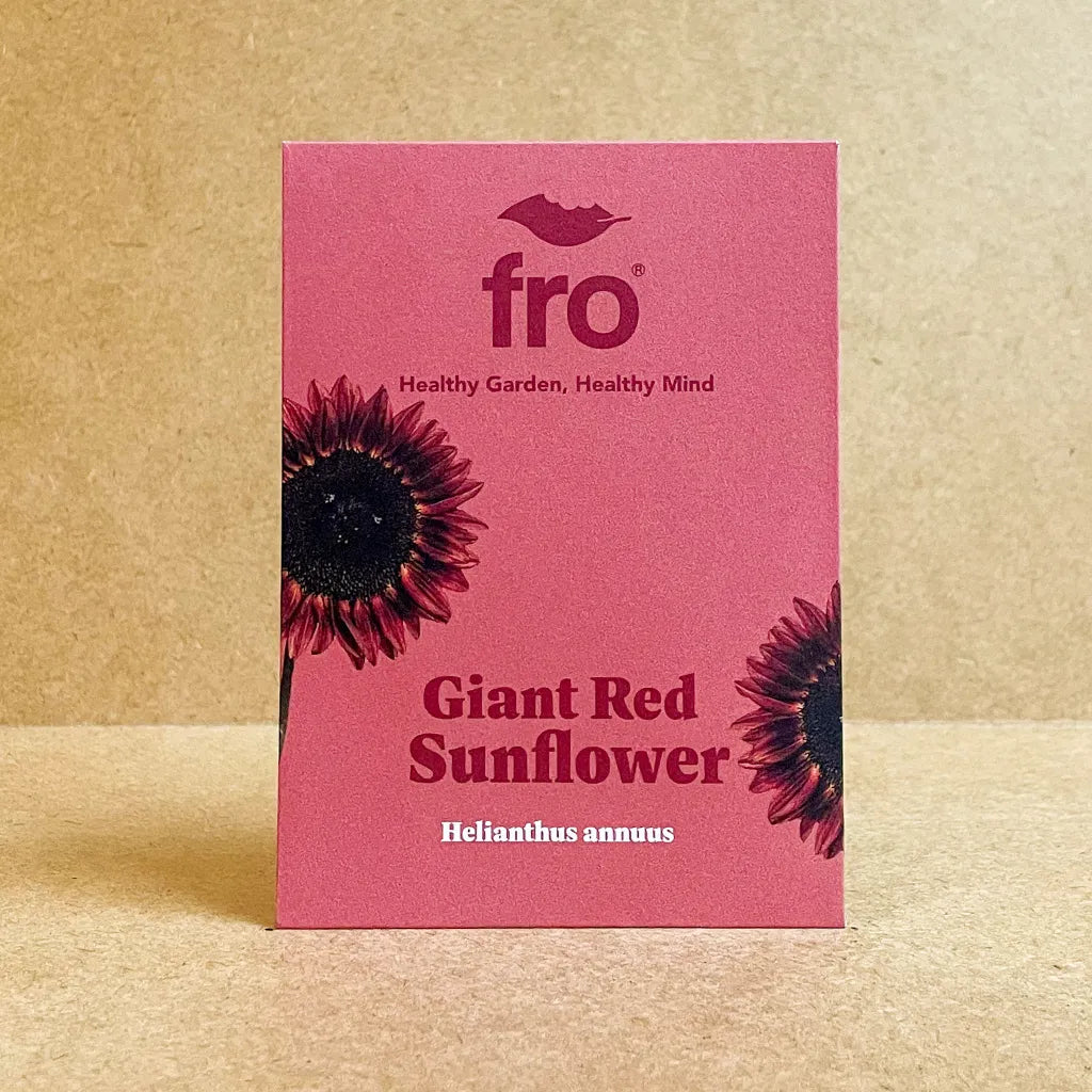 Giant Red Sunflower Seeds