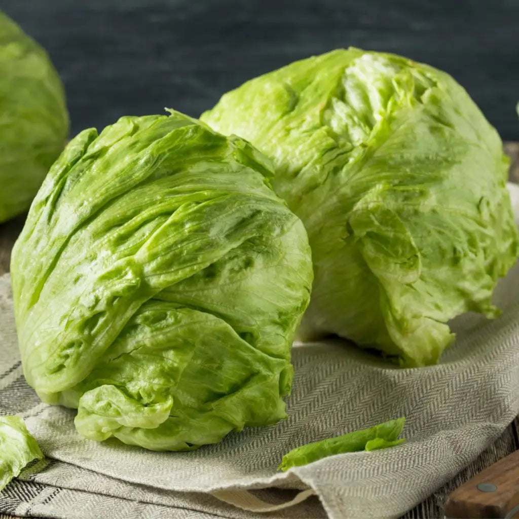 Lettuce Iceberg Seeds - Organic