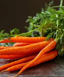 Carrot Amsterdam Forcing - Organic