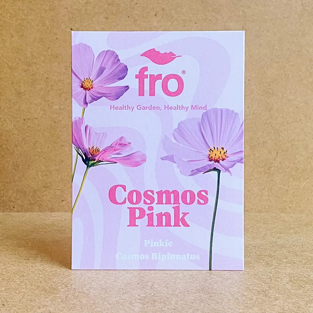 Cosmos Pinkie Seeds