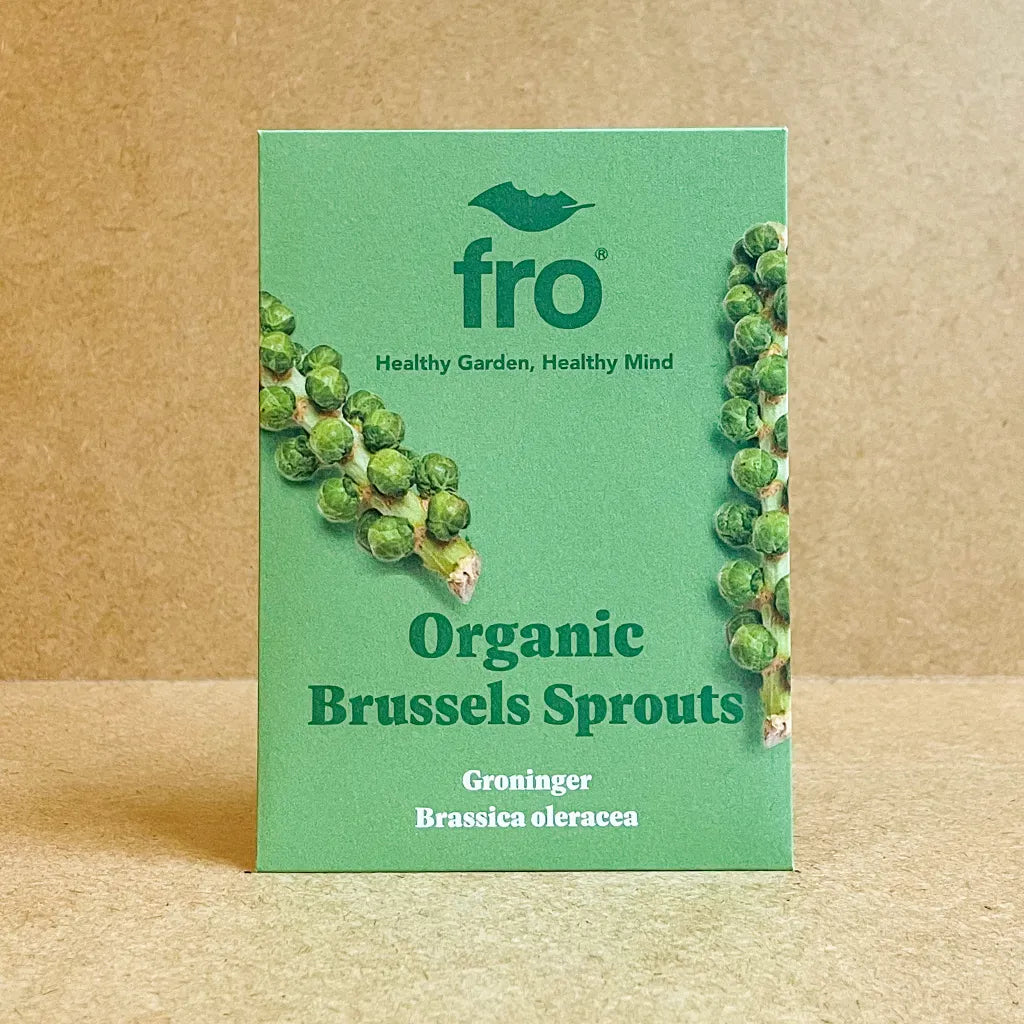 Brussels Sprouts Groninger Seeds - Organic