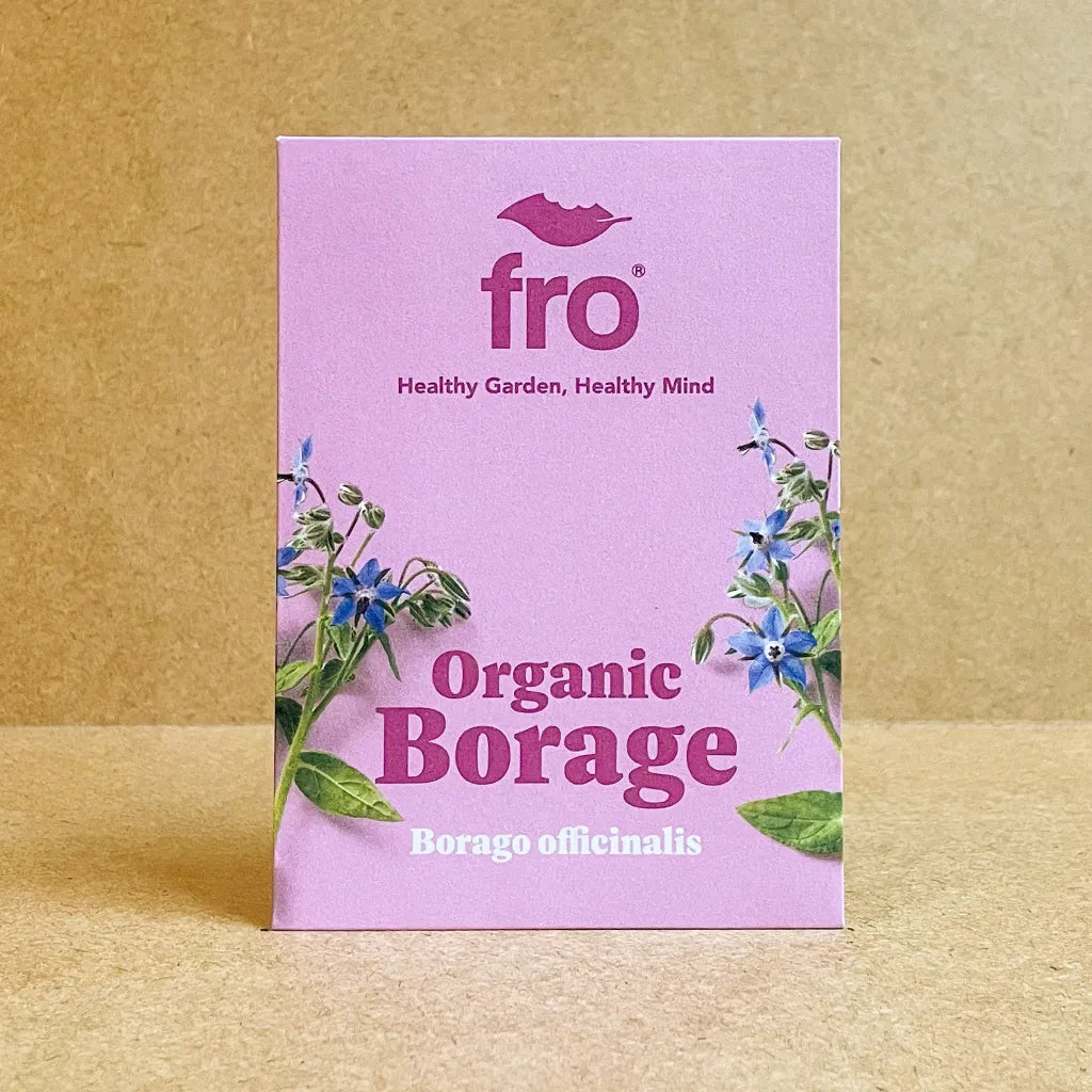 Borage Seeds - Organic