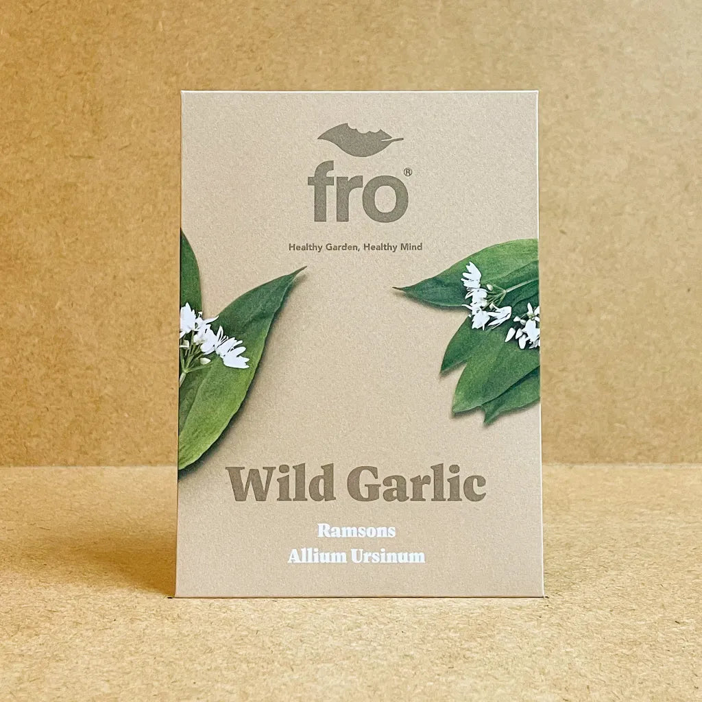 Wild Garlic Ramsons Seeds
