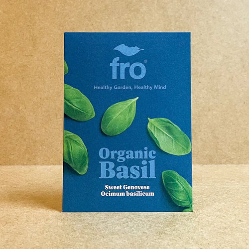 Basil Sweet Genovese Seeds - Organic