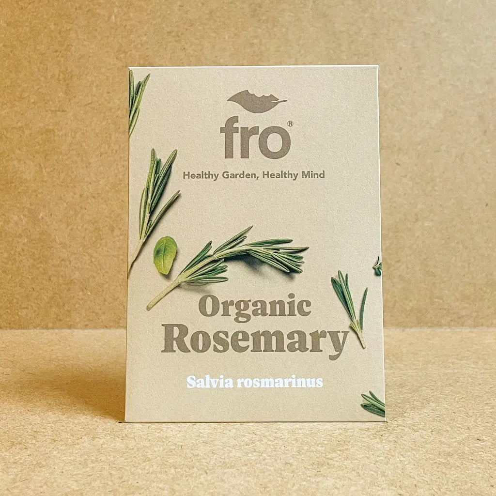 Rosemary Seeds - Organic