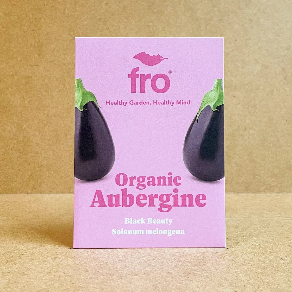 Aubergine Seeds - Organic