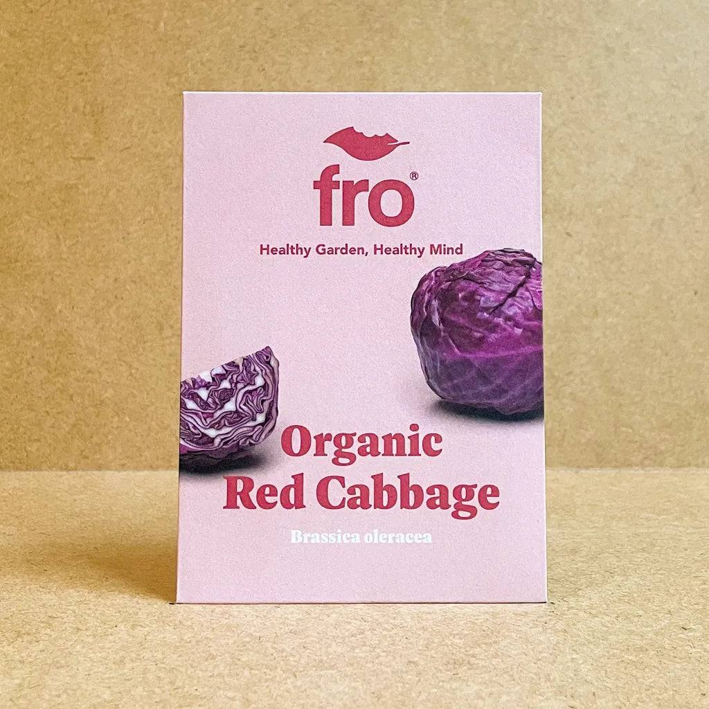Cabbage Red Drumhead - Organic