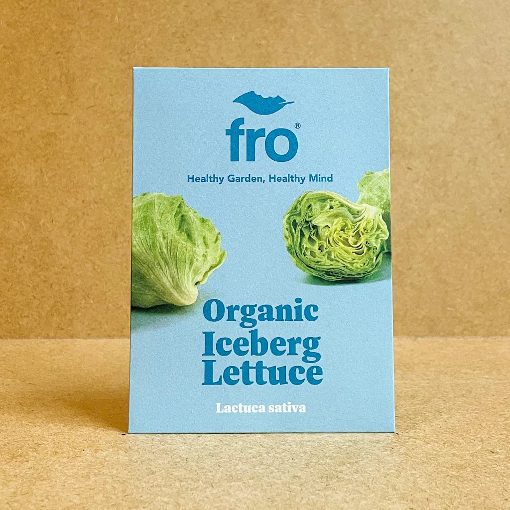 Lettuce Iceberg Seeds - Organic
