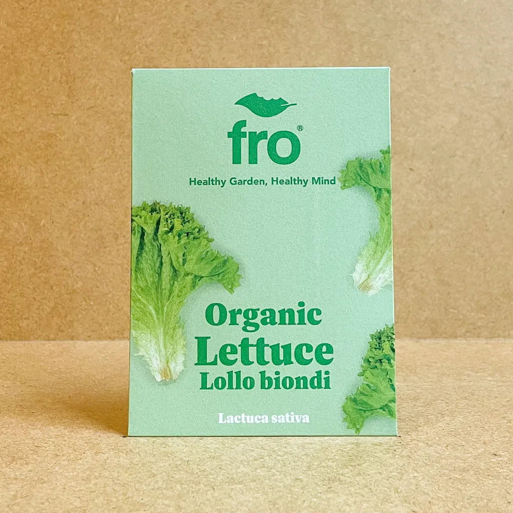 Lettuce Lollo Biondi Seeds - Organic