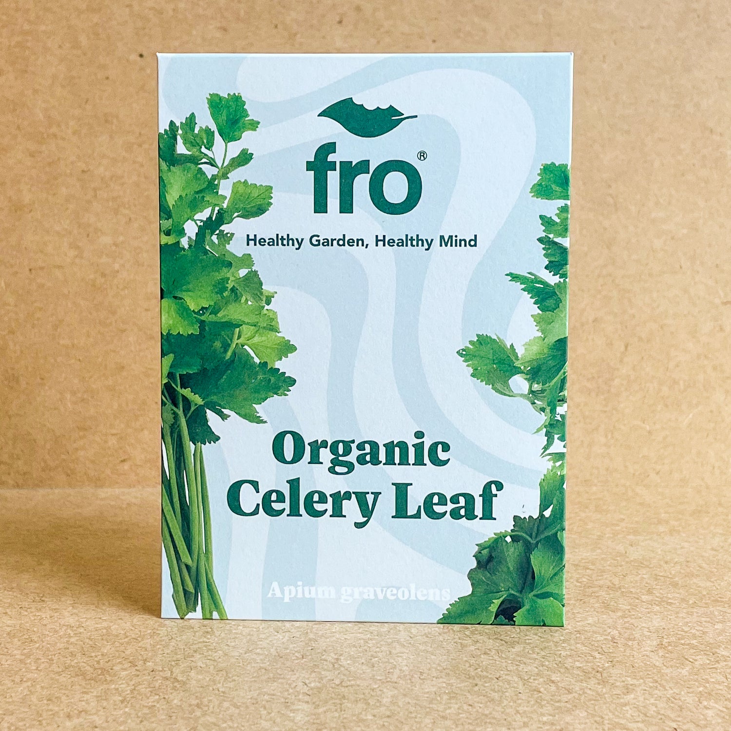 Celery Leaf Early Bell Seeds - Organic