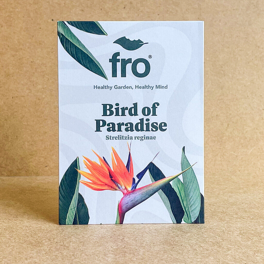 Bird of Paradise Seeds