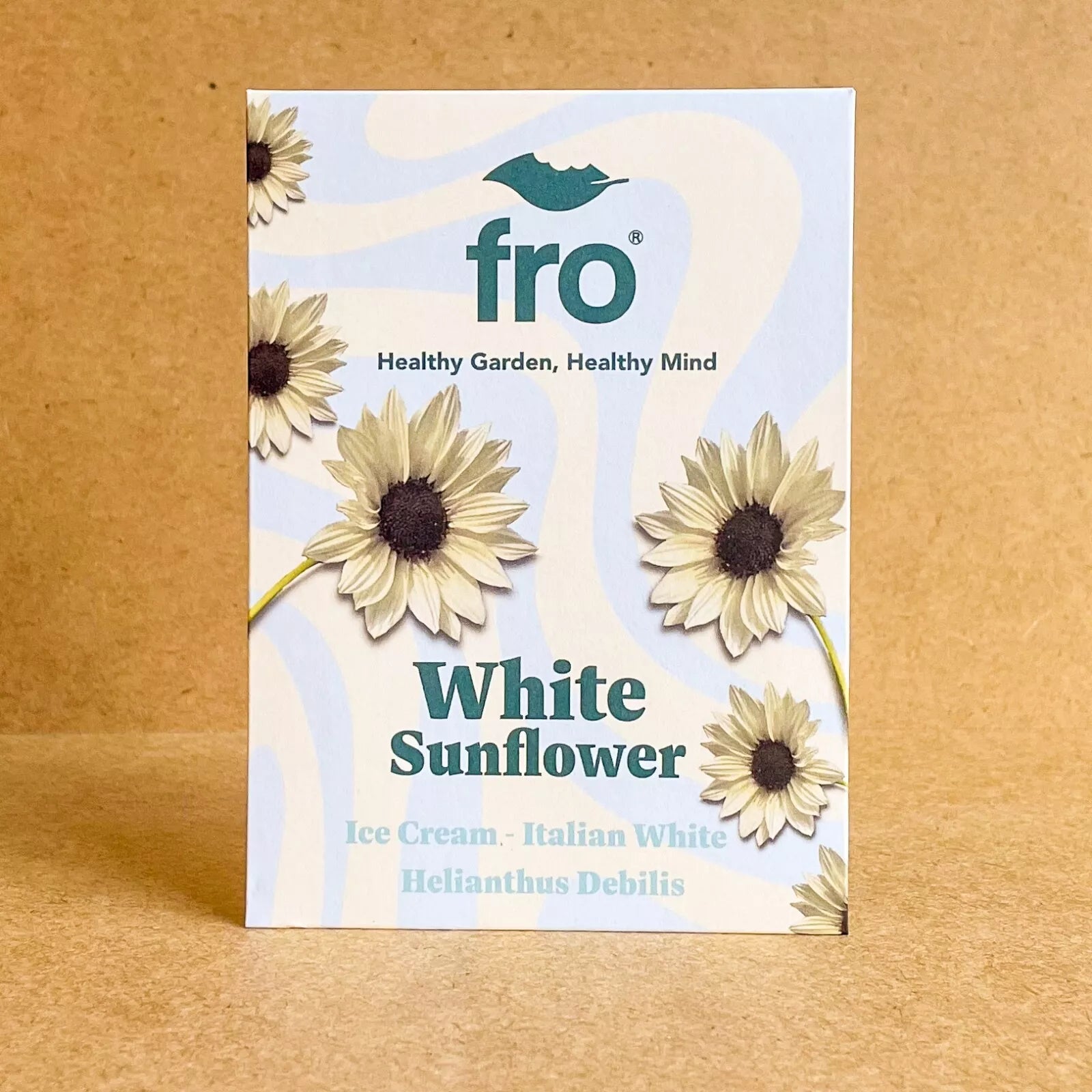 White Sunflower Seeds